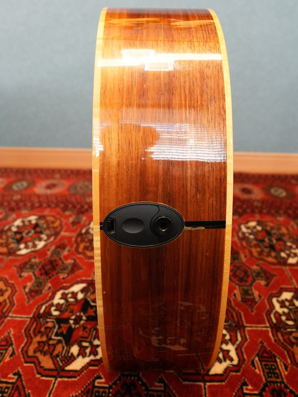 Taylor 416CE-LTD BLACKWOOD 2009年製