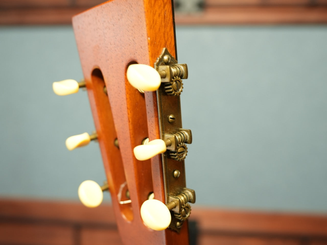 B&G Guitars Caletta カレッタ Private Build 2018年製