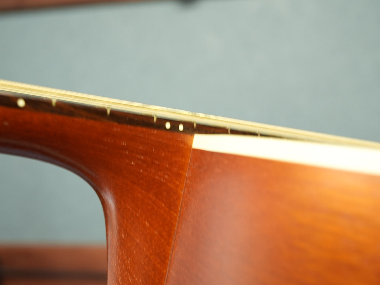 B&G Guitars Caletta カレッタ Private Build 2018年製