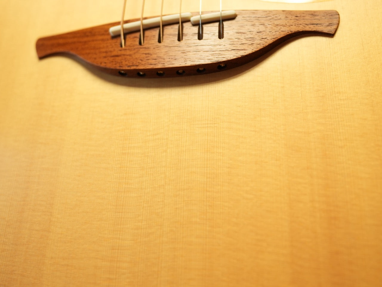 Lowden S-50 Honduras Rosewood / Sitka