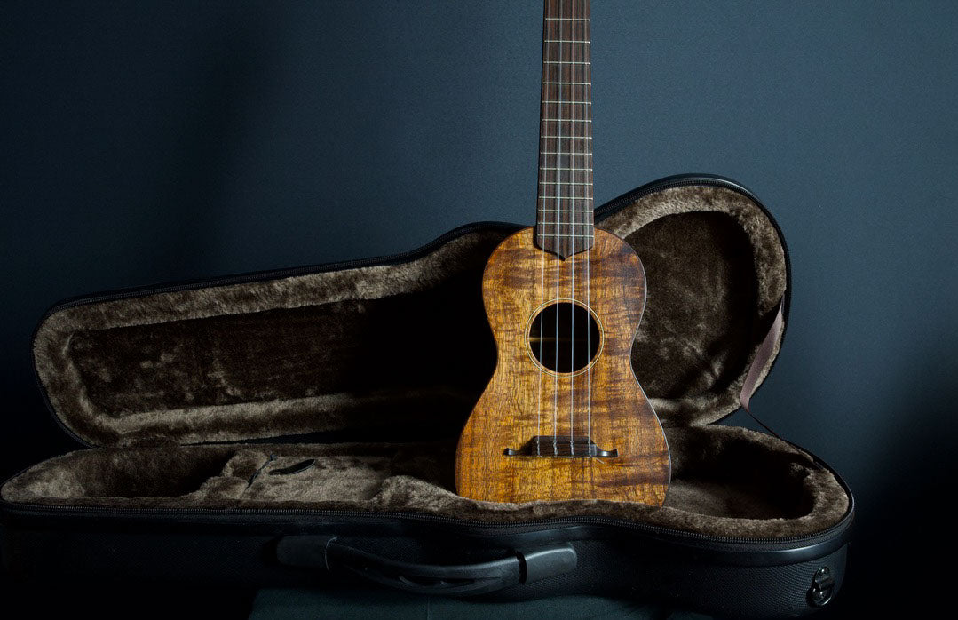 da h ukulele concert 14f std. Hawaiian Koa 2024年製