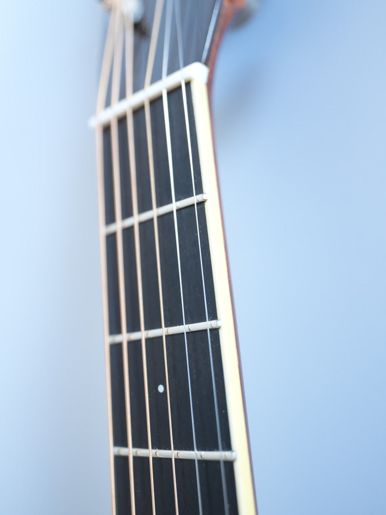 Santa Cruz Model D/E 1999年製