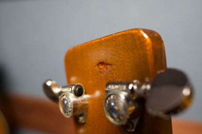 Martin D-18　1966年製