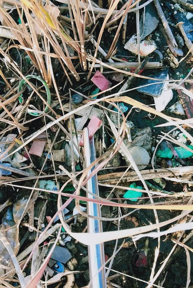 海洋プラスチック アートチャーム（限定9個）｜「はにぃるか。」コラボ【Sincere Guitars】