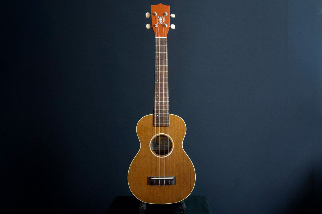 Seilen SLMT-3720 Mini Tenor 2024年製