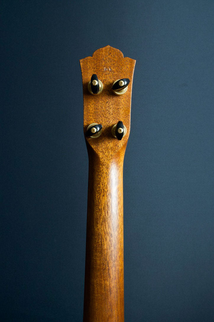 da h ukulele concert 14f std. Hawaiian Koa　2024年製