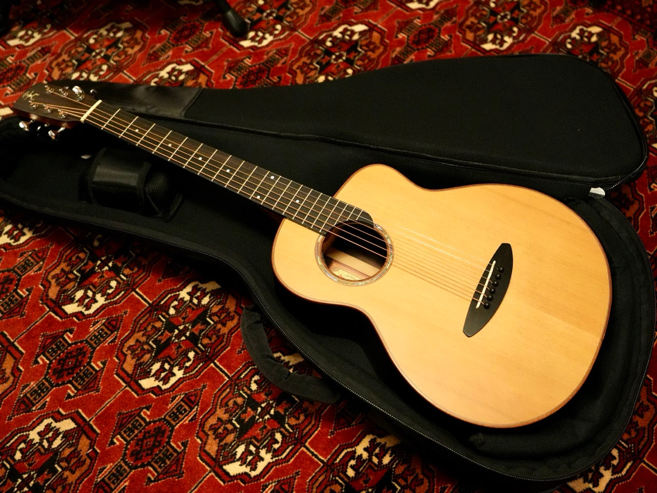 aNueNue aNN-M60E 2025年製（新品）
