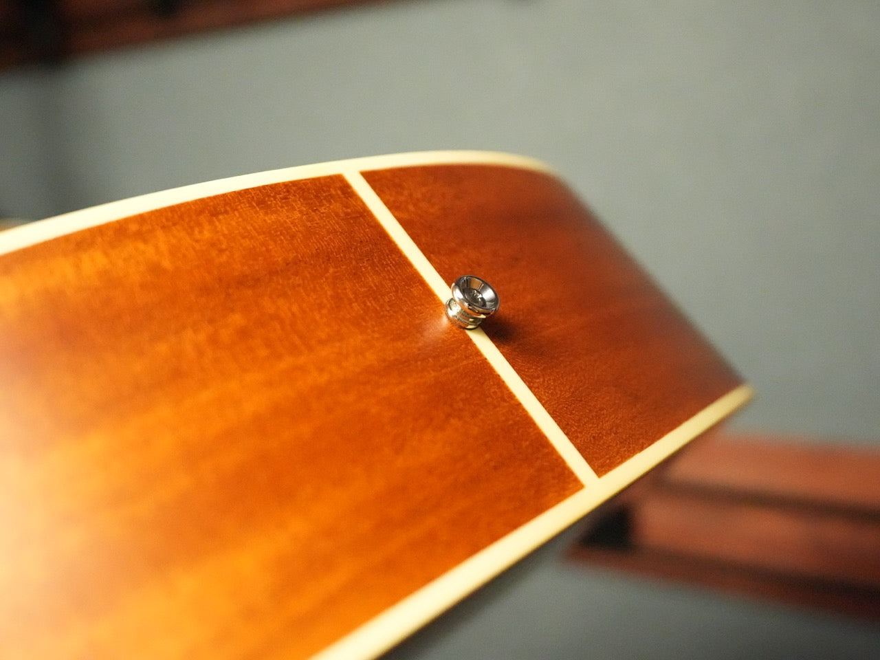 aNueNue Singer Imagine D01　2025年製（新品）