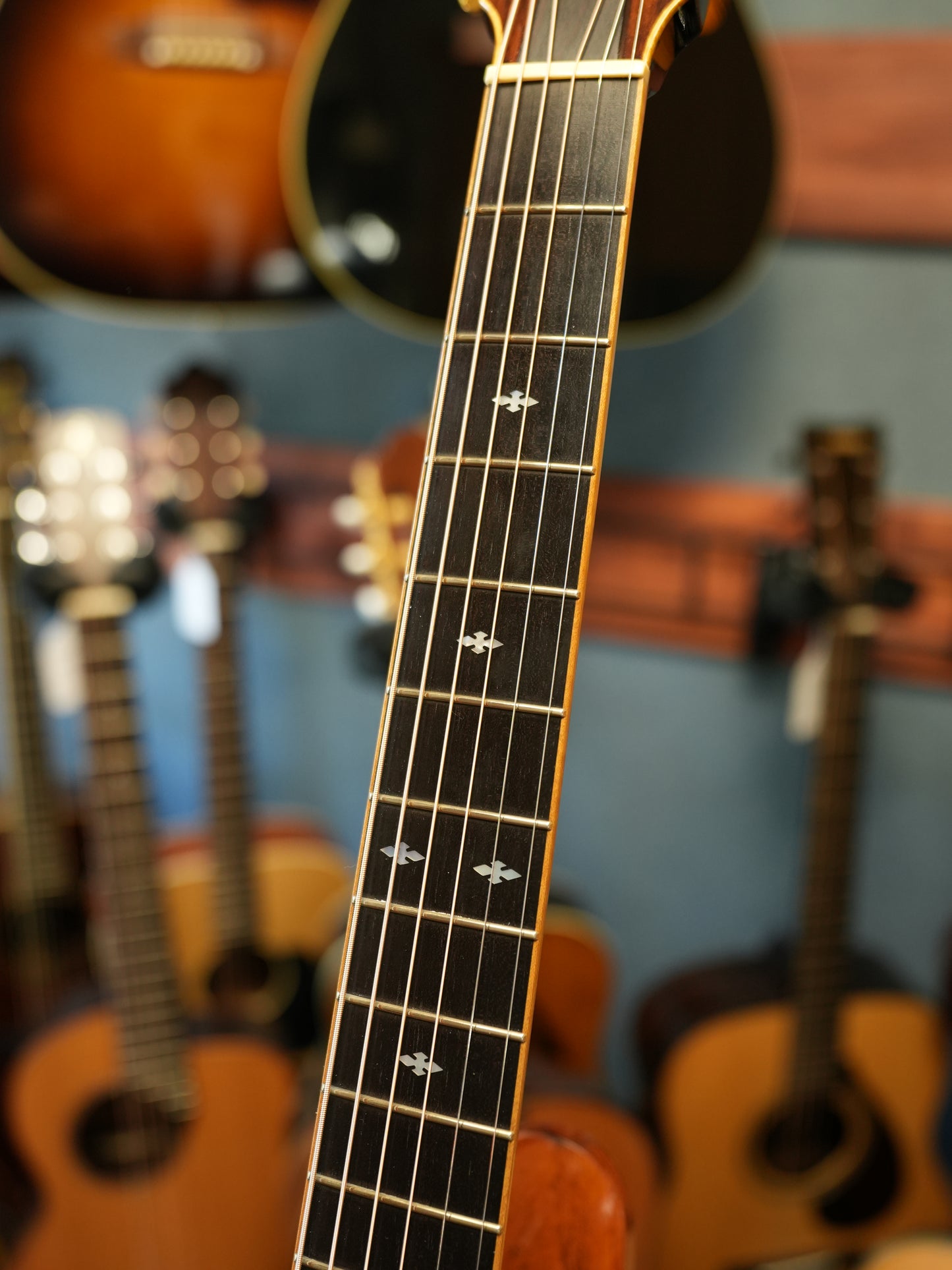 Shelly（鷲見英一）SS-D70  Brazilian Rosewood