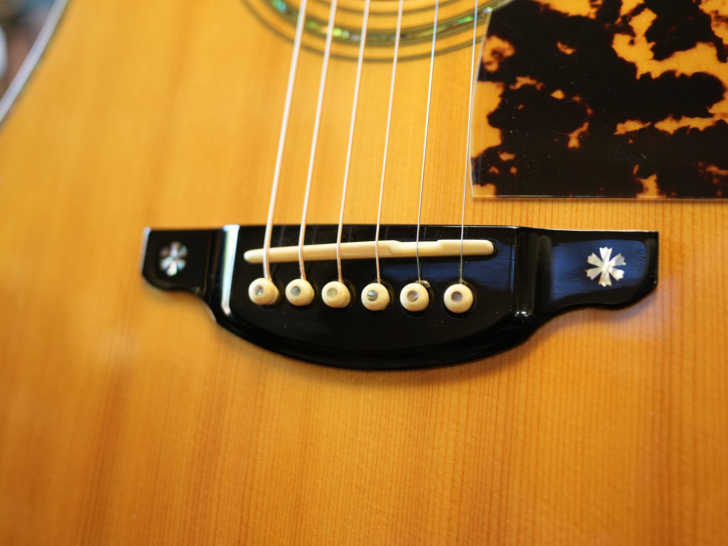 Shelly（鷲見英一）SS-D70  Brazilian Rosewood