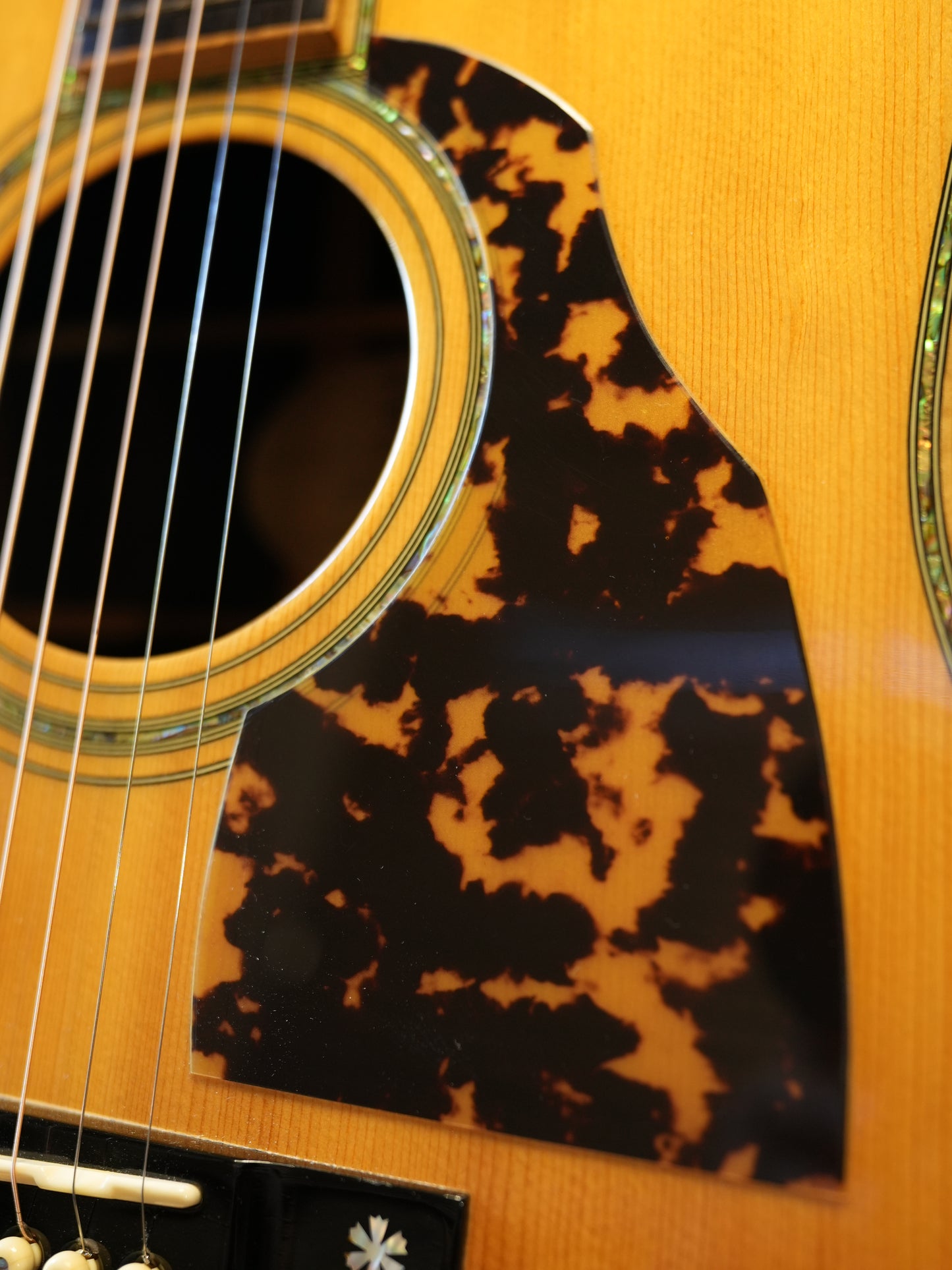 Shelly（鷲見英一）SS-D70  Brazilian Rosewood