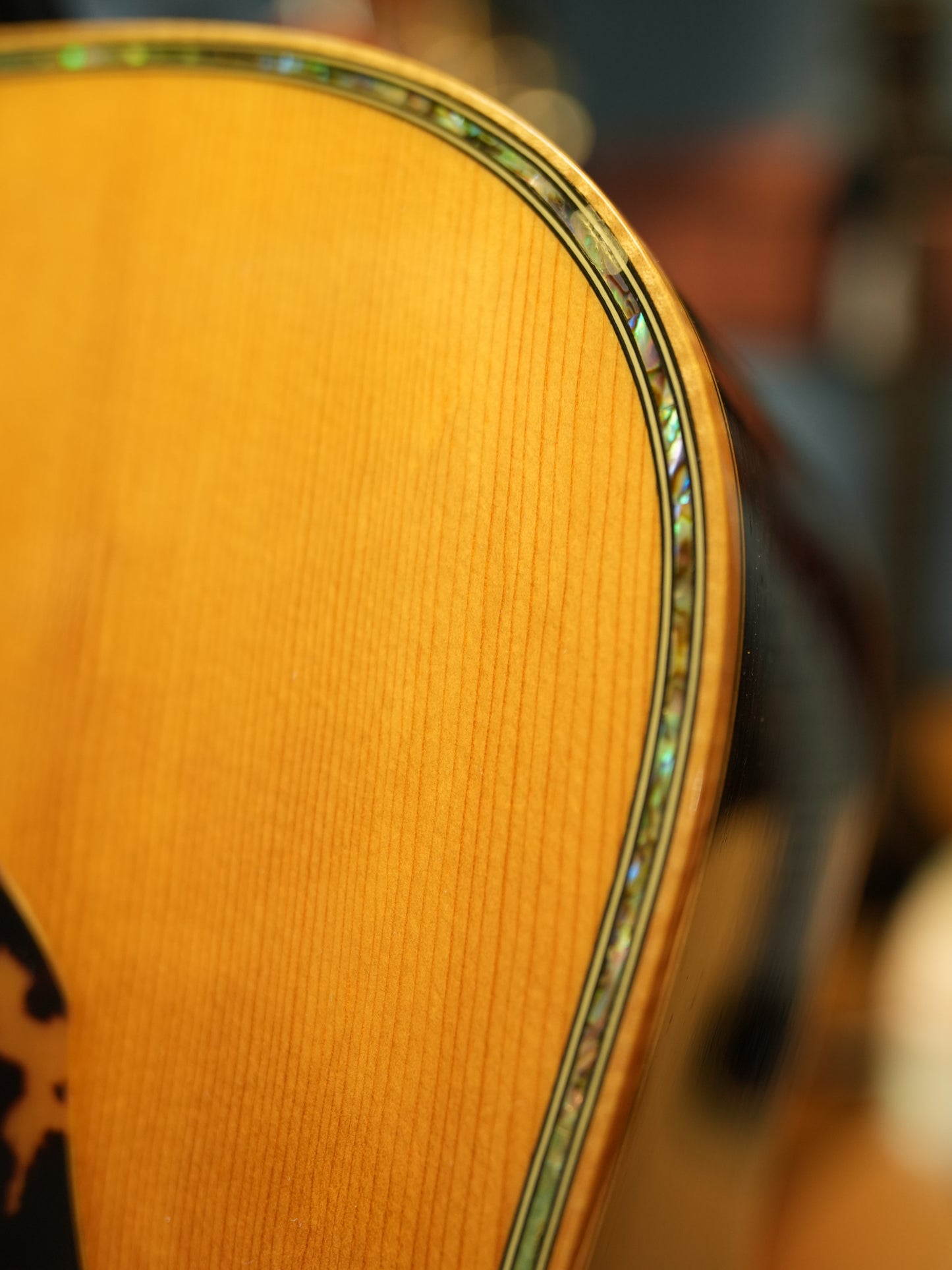 Shelly（鷲見英一）SS-D70  Brazilian Rosewood