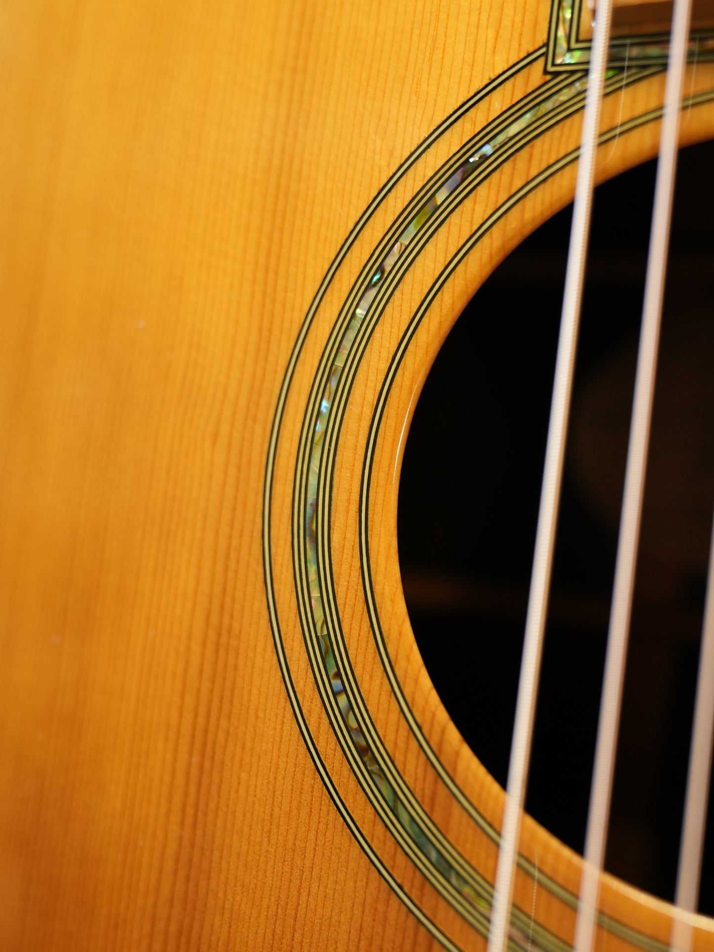 Shelly（鷲見英一）SS-D70  Brazilian Rosewood