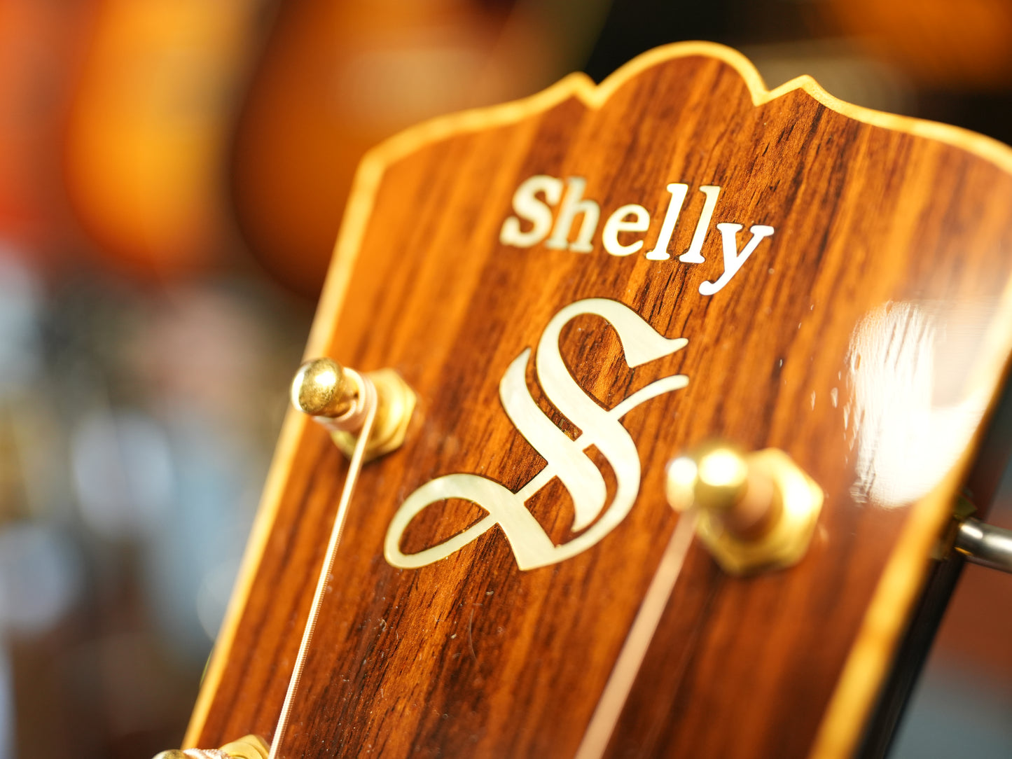 Shelly（鷲見英一）SS-D70  Brazilian Rosewood