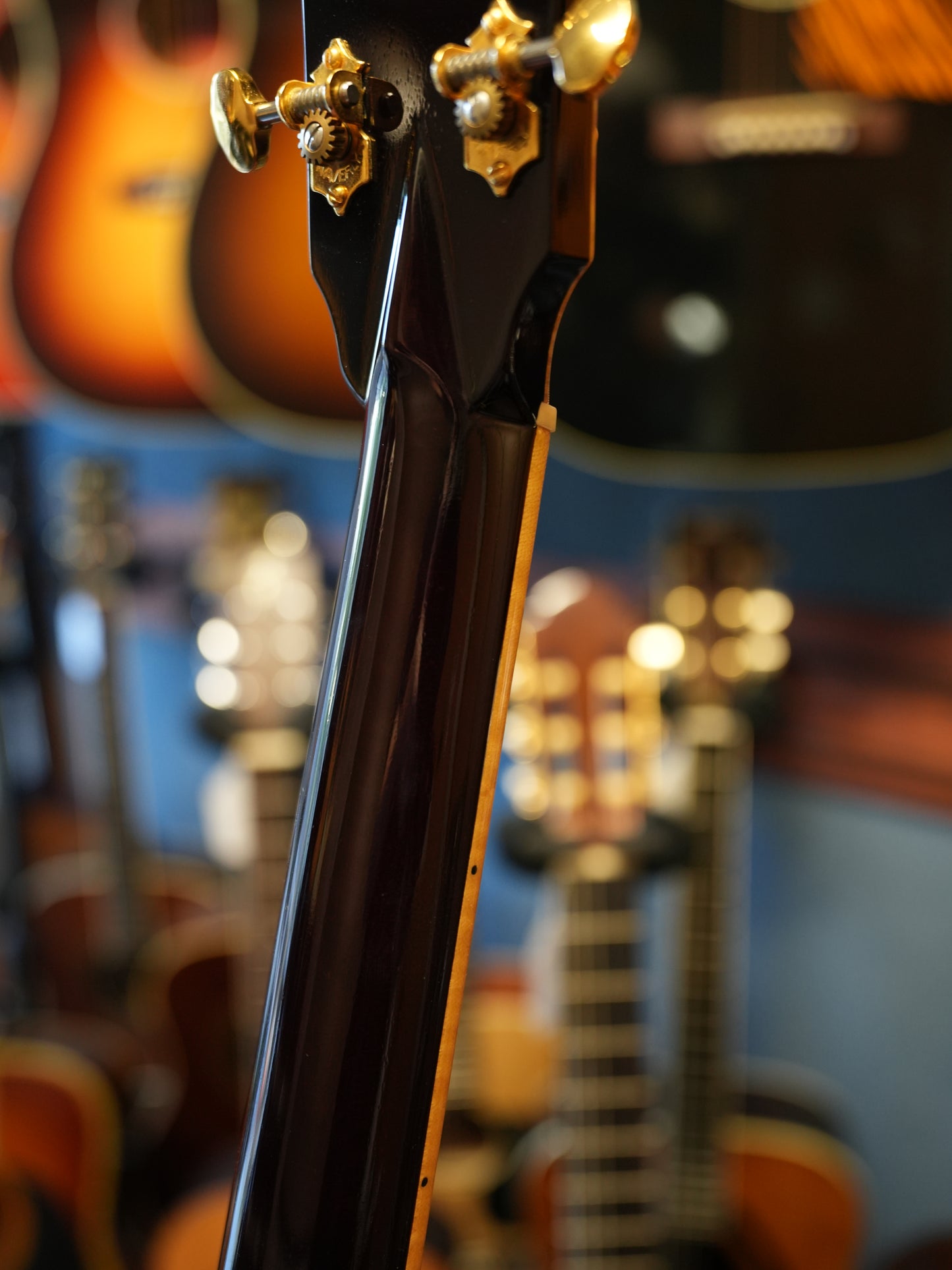 Shelly（鷲見英一）SS-D70  Brazilian Rosewood