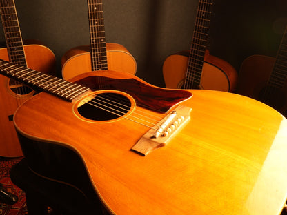 Gibson B-25N 1969年製
