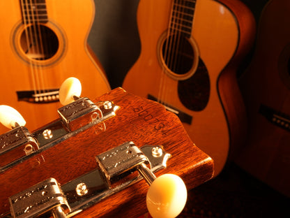 Gibson B-25N 1969年製