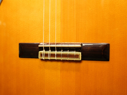 Aria Concert Guitar Supervised By Shiro Arai AC80（スペイン製）