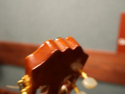 Aria Concert Guitar Supervised By Shiro Arai AC80（スペイン製）