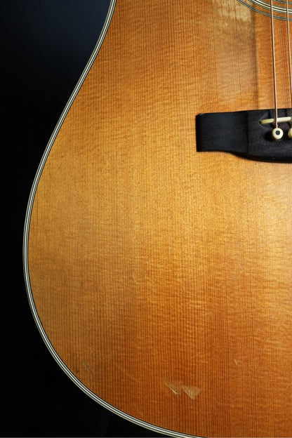 The Kasuga BG-100　1973年製