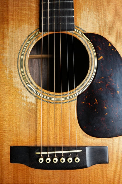 The Kasuga BG-100　1973年製