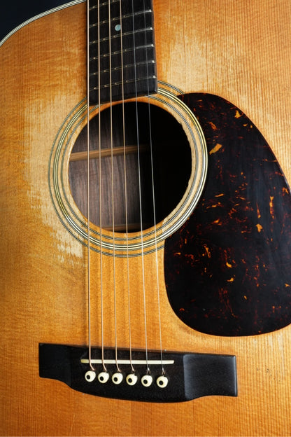 The Kasuga BG-100　1973年製