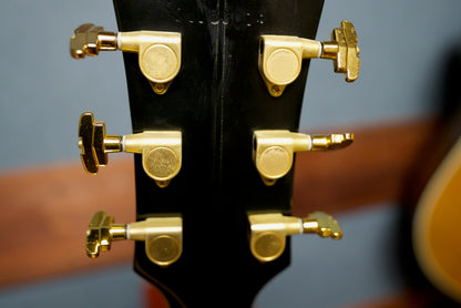 Gibson J-200 Rose Custom Black Centennial Collection 1995年製
