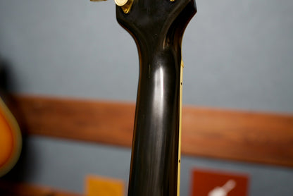 Gibson J-200 Rose Custom Black Centennial Collection 1995年製
