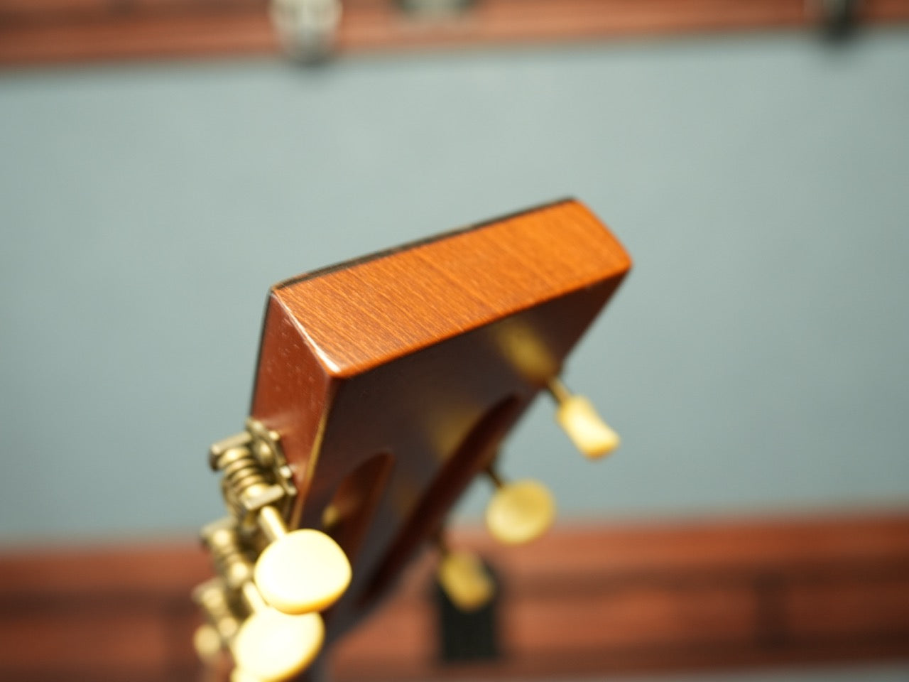 B&G Guitars Caletta カレッタ Private Build 2018年製