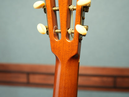 B&G Guitars Caletta カレッタ Private Build 2018年製