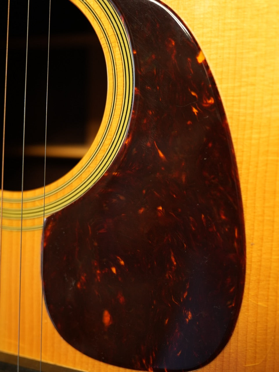Eastman E-20-D / Natural　2010年製