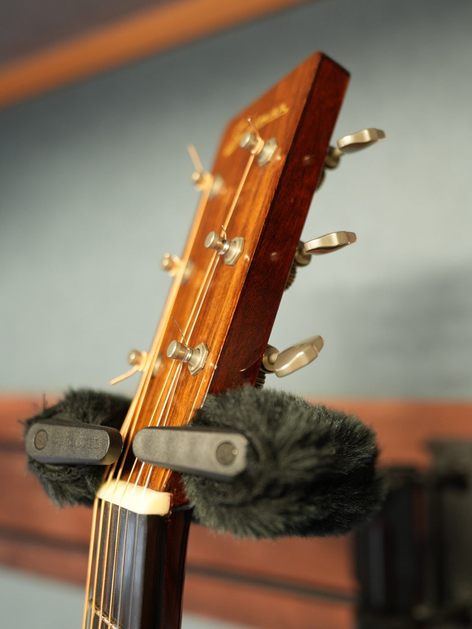 Eastman E-20-D / Natural　2010年製