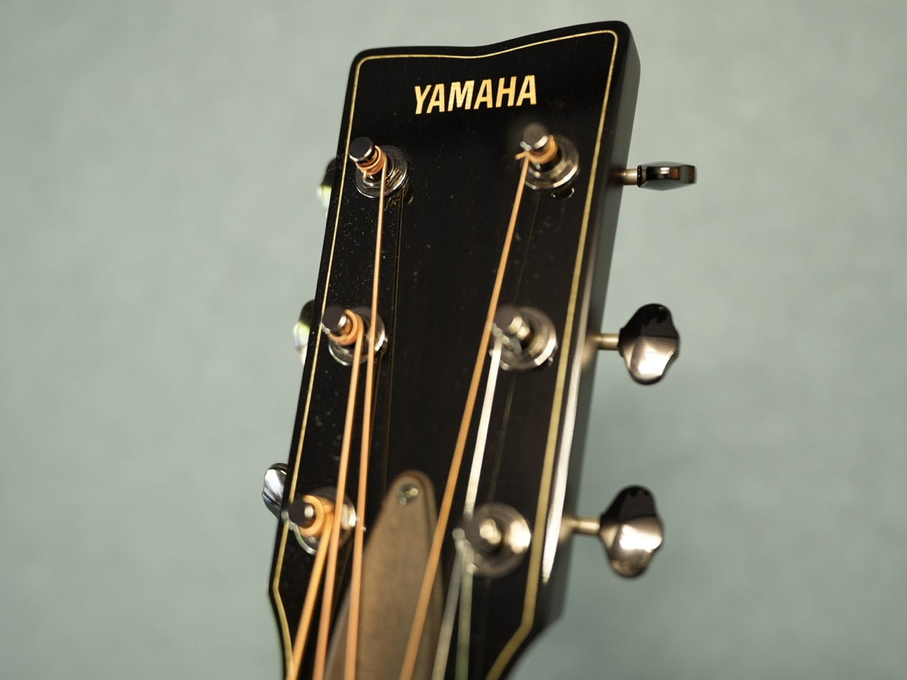 YAMAHA　FG9 R　2023年製