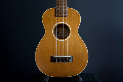 Seilen SLMT-3720 Mini Tenor 2024年製