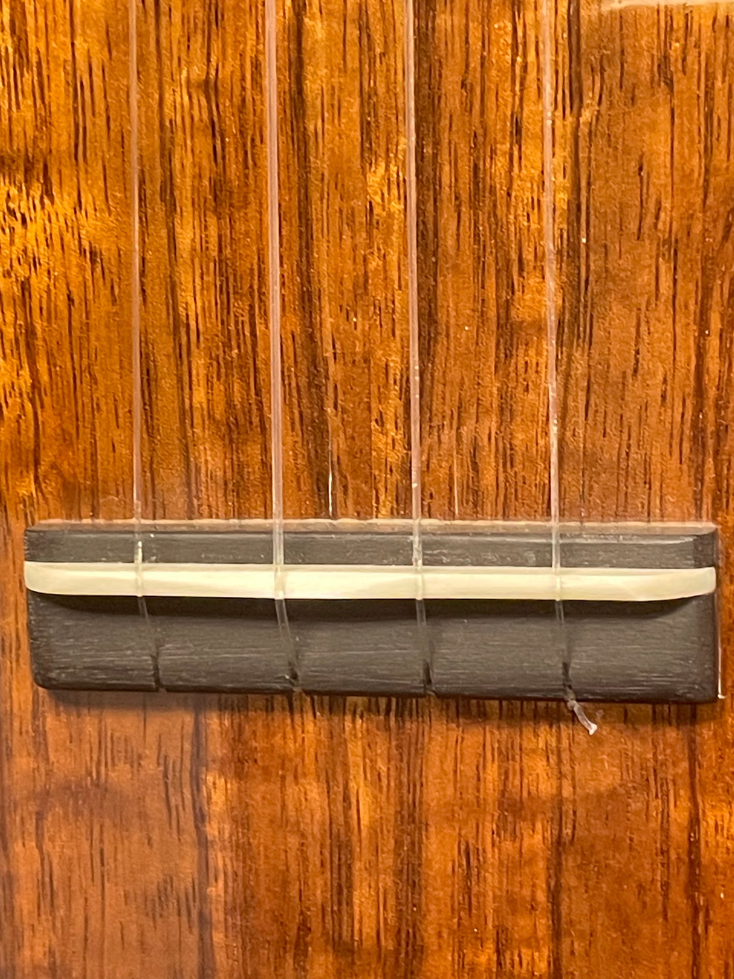 Sakata Guitars UC-2K ハワイアンコア・コンサート