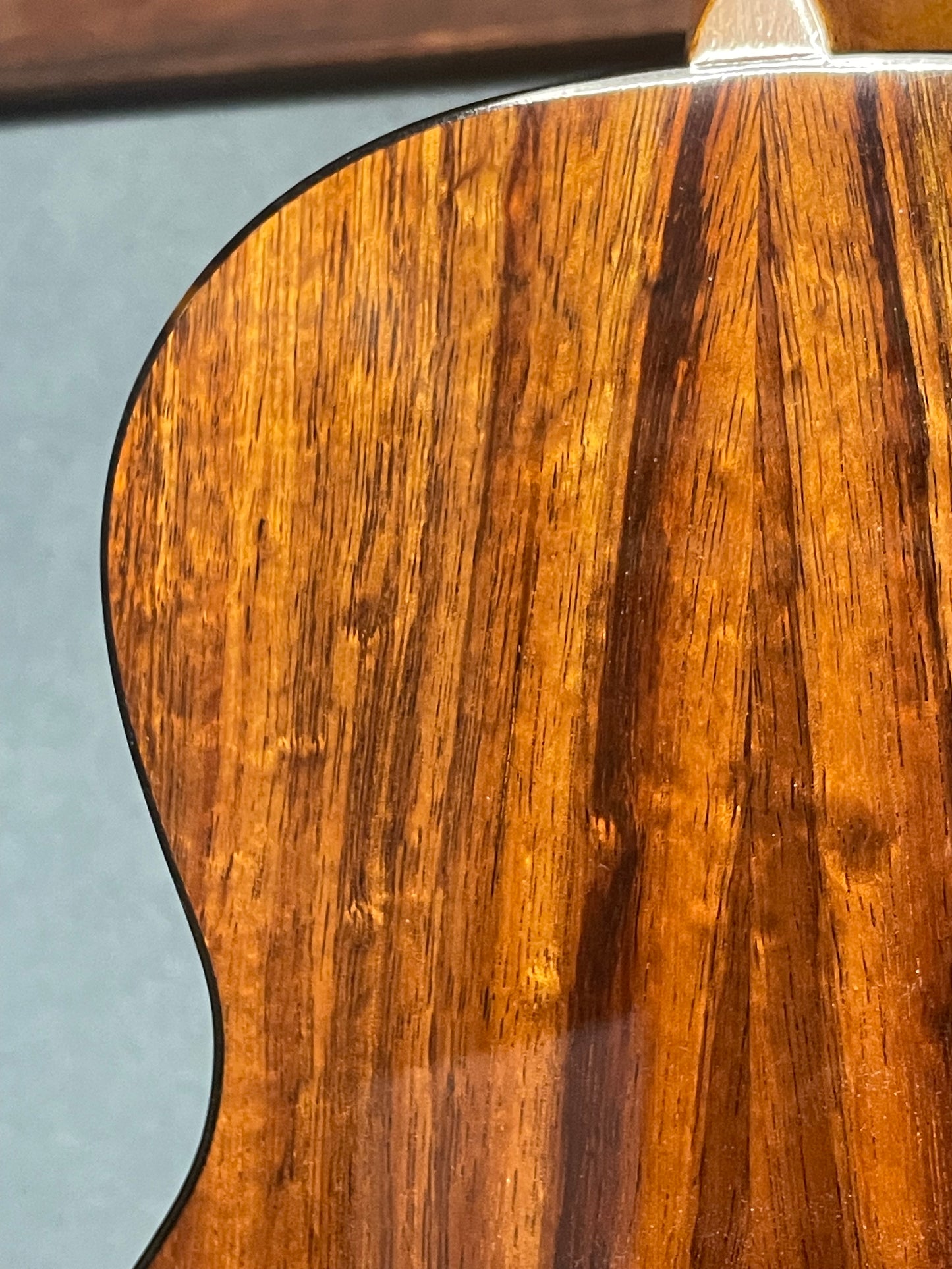 Sakata Guitars UC-2K ハワイアンコア・コンサート