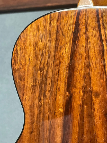 Sakata Guitars UC-2K ハワイアンコア・コンサート