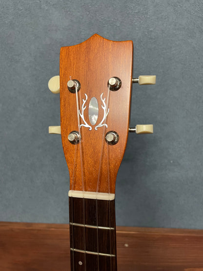 在庫しています！【初入荷 / 店頭限定】Seilen（セイレン）SLMT-3720 Mini Tenor 2024年製【Sinker Cedar × Pernambuco / Side Hole カスタム】