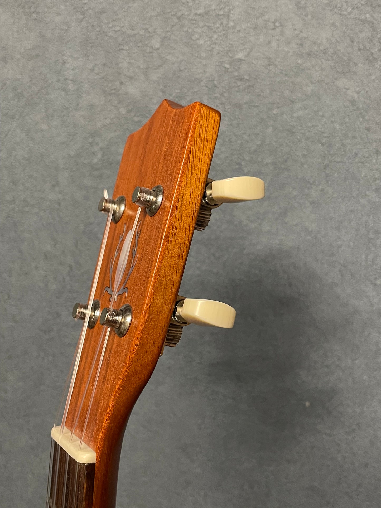在庫しています！【初入荷 / 店頭限定】Seilen（セイレン）SLMT-3720 Mini Tenor 2024年製【Sinker Cedar × Pernambuco / Side Hole カスタム】