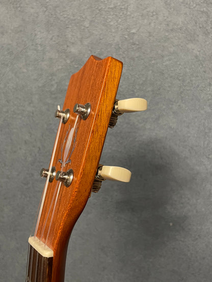 在庫しています！【初入荷 / 店頭限定】Seilen（セイレン）SLMT-3720 Mini Tenor 2024年製【Sinker Cedar × Pernambuco / Side Hole カスタム】