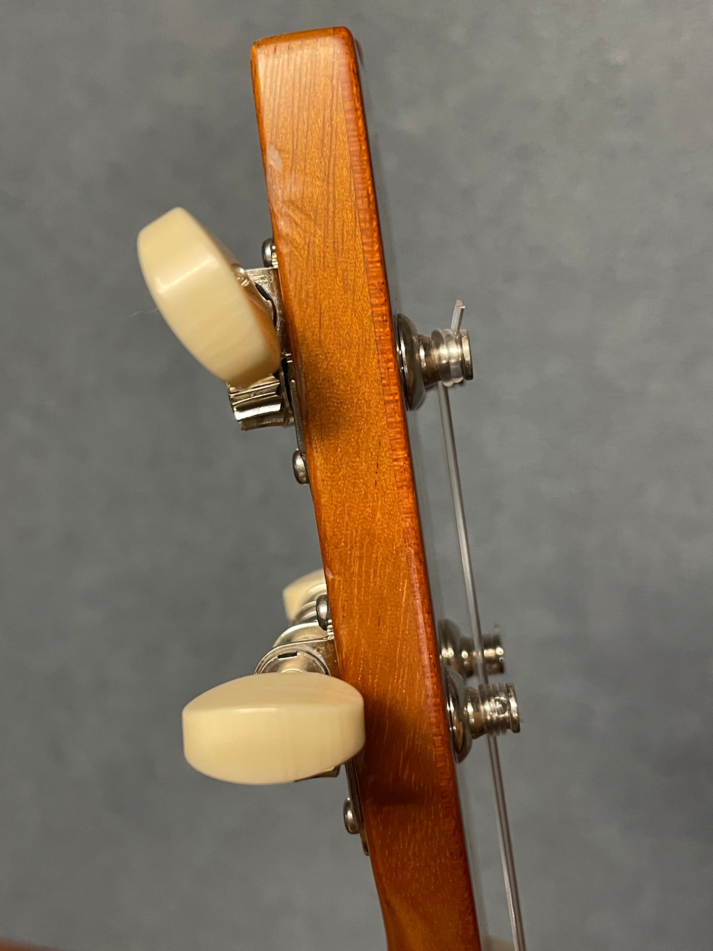 在庫しています！【初入荷 / 店頭限定】Seilen（セイレン）SLMT-3720 Mini Tenor 2024年製【Sinker Cedar × Pernambuco / Side Hole カスタム】