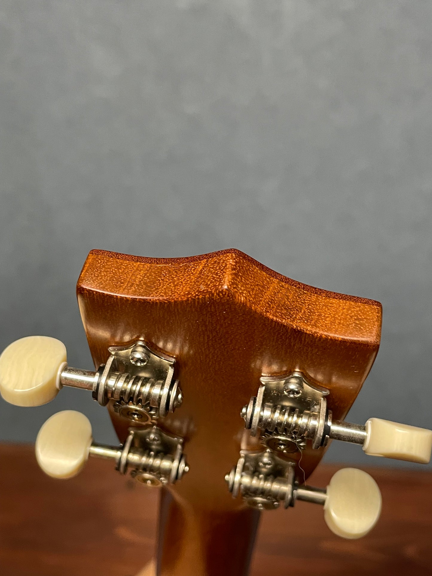 在庫しています！【初入荷 / 店頭限定】Seilen（セイレン）SLMT-3720 Mini Tenor 2024年製【Sinker Cedar × Pernambuco / Side Hole カスタム】