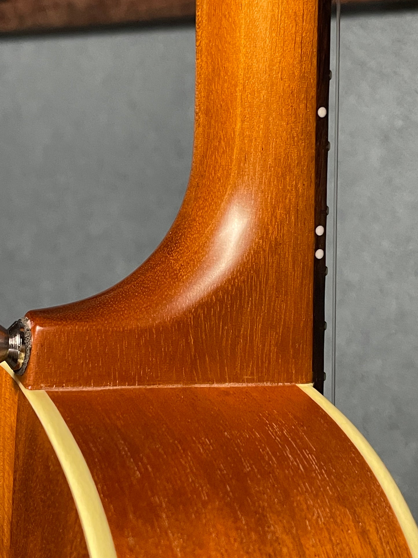 在庫しています！【初入荷 / 店頭限定】Seilen（セイレン）SLMT-3720 Mini Tenor 2024年製【Sinker Cedar × Pernambuco / Side Hole カスタム】