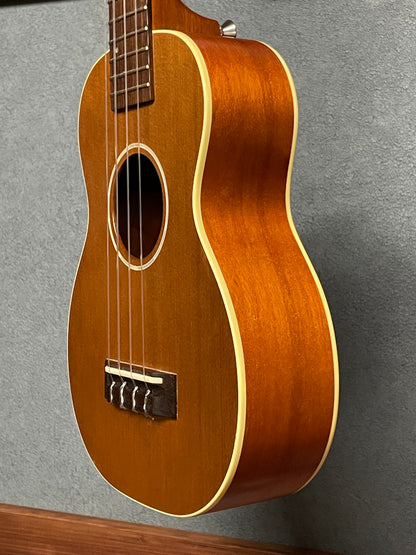 在庫しています！【初入荷 / 店頭限定】Seilen（セイレン）SLMT-3720 Mini Tenor 2024年製【Sinker Cedar × Pernambuco / Side Hole カスタム】
