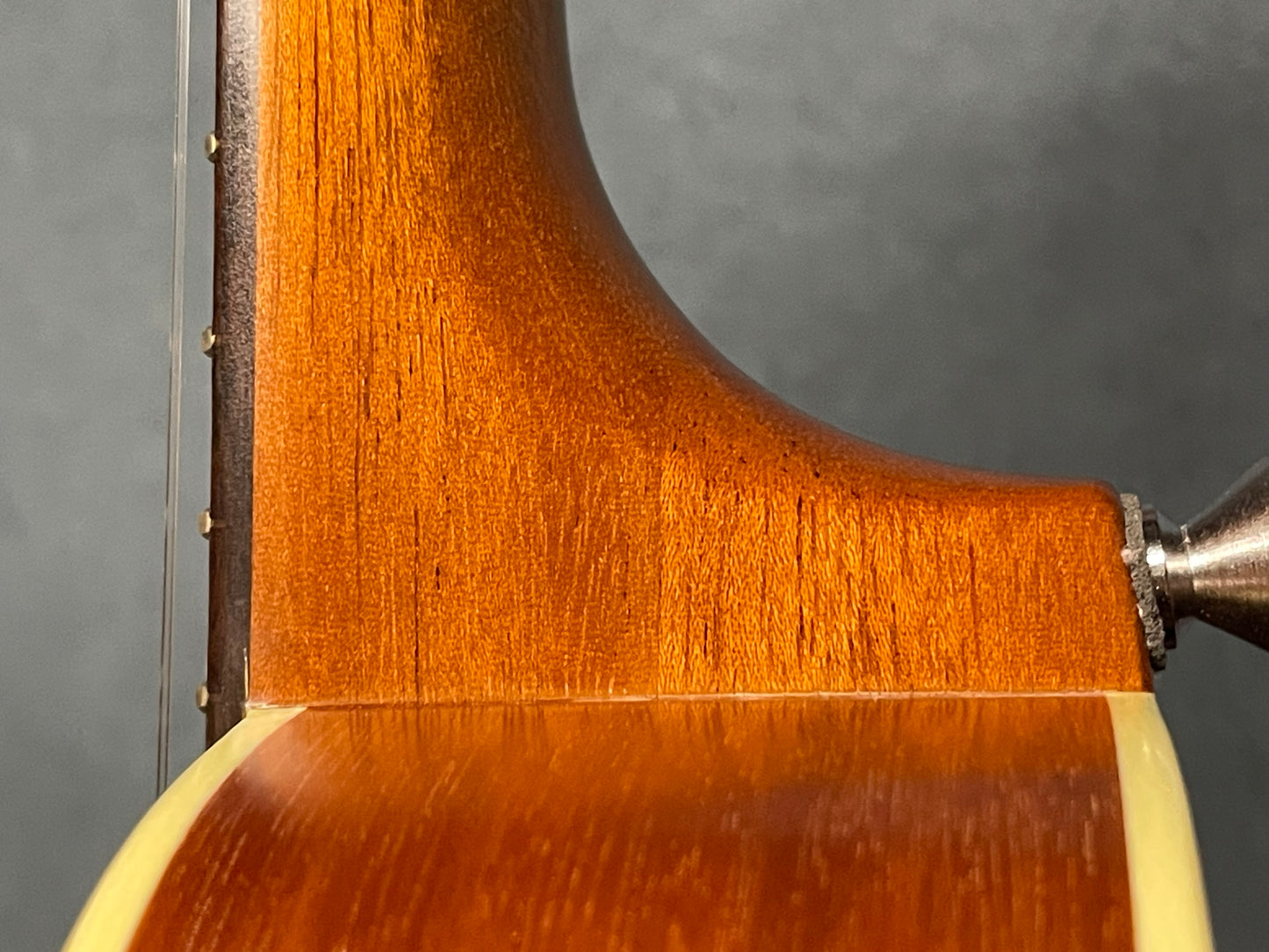 在庫しています！【初入荷 / 店頭限定】Seilen（セイレン）SLMT-3720 Mini Tenor 2024年製【Sinker Cedar × Pernambuco / Side Hole カスタム】