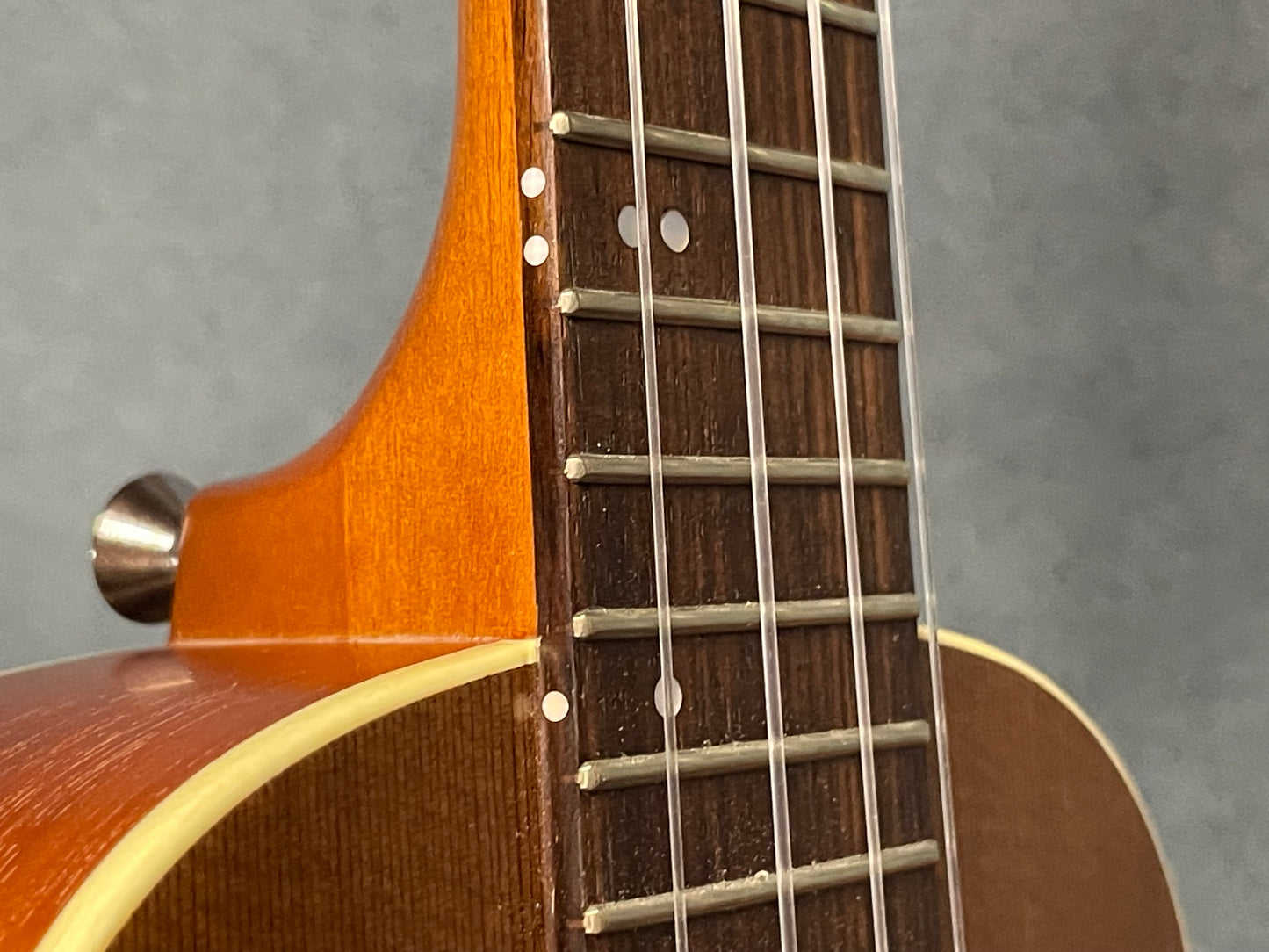 在庫しています！【初入荷 / 店頭限定】Seilen（セイレン）SLMT-3720 Mini Tenor 2024年製【Sinker Cedar × Pernambuco / Side Hole カスタム】