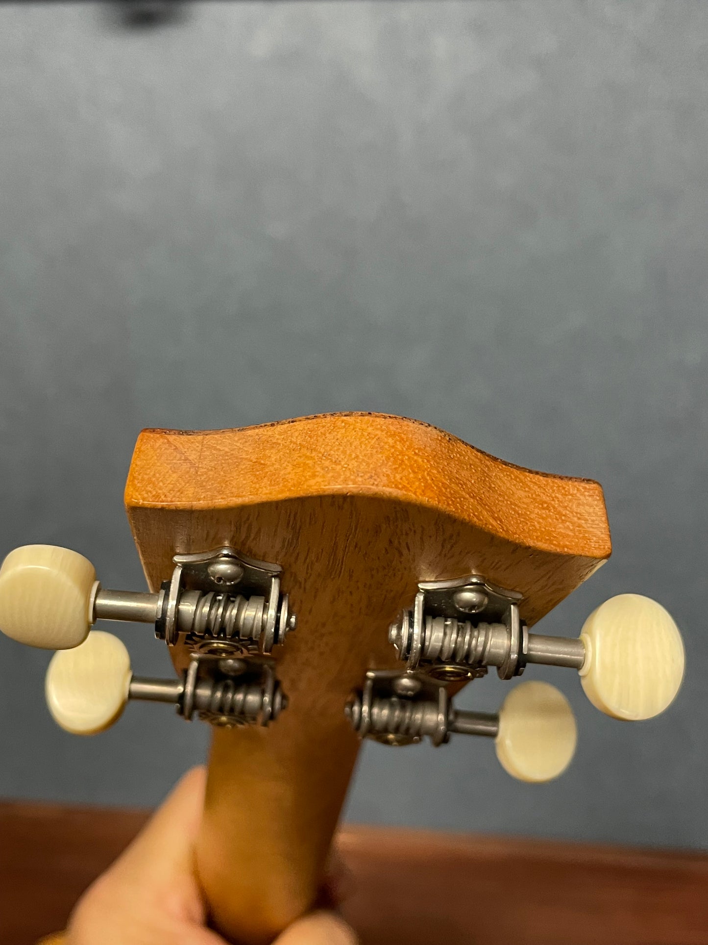 在庫しています！【店頭限定】Shimo Guitars mango コンサート2006年製（PU搭載）